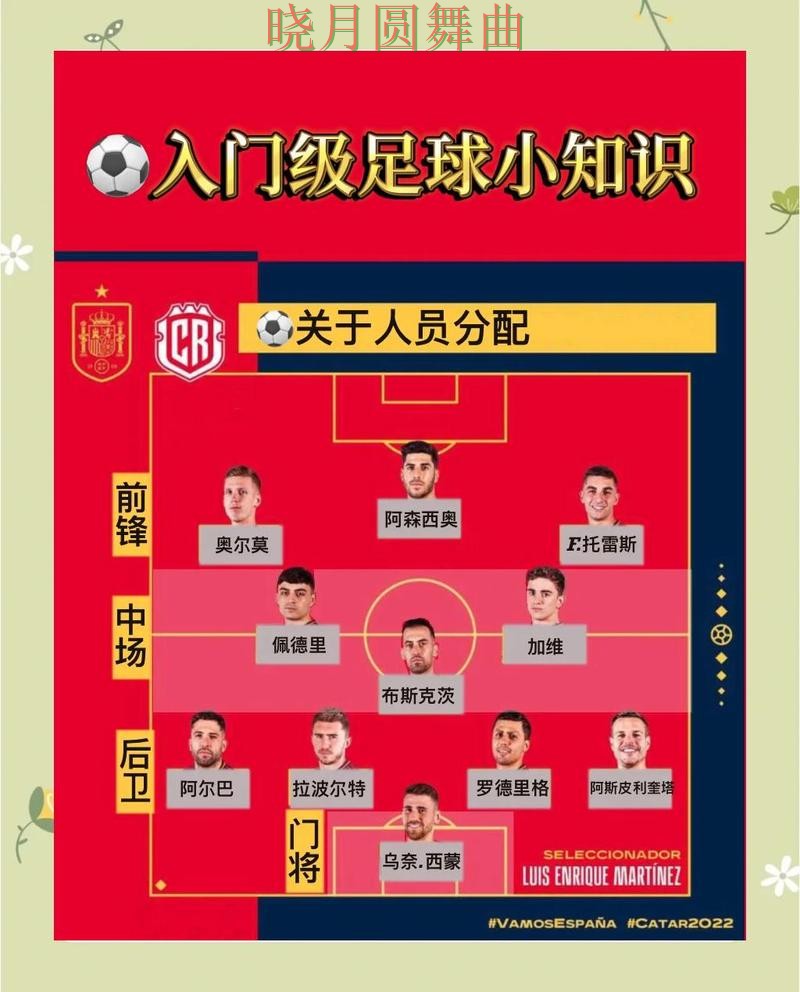 世界杯投注荷兰比赛方向应该怎么看